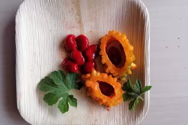 Best Quality Supply - All our products meet the highest standards for both performance and environmental safety.