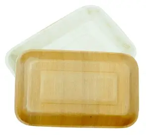 Eco Areca Leaf Rectangle Shaped Plate - Versatile rectangular plate for various food presentations.