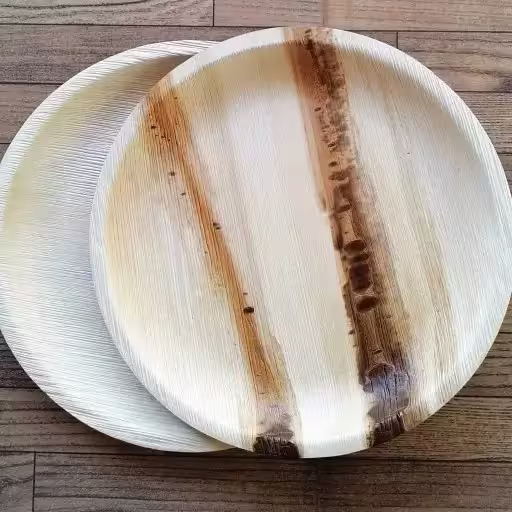 Eco Areca Leaf Natural areca leaf plate - Biodegradable palm leaf dinnerware - Right showcase showcase