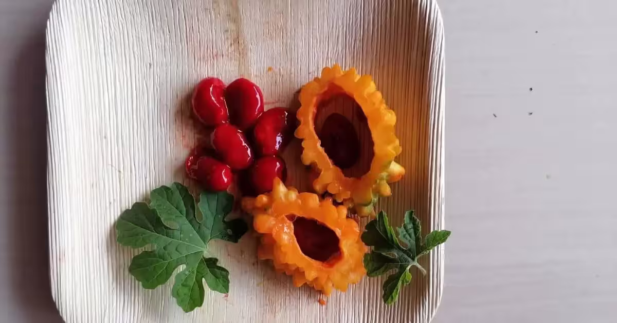 Areca leaf manufacturing process